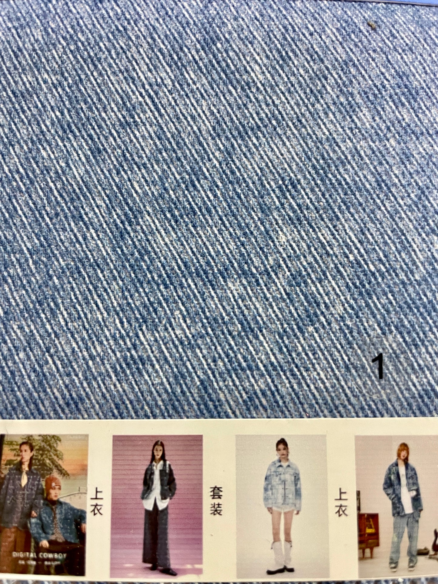 Digital Print Denim Fabric - Natasha Fabric