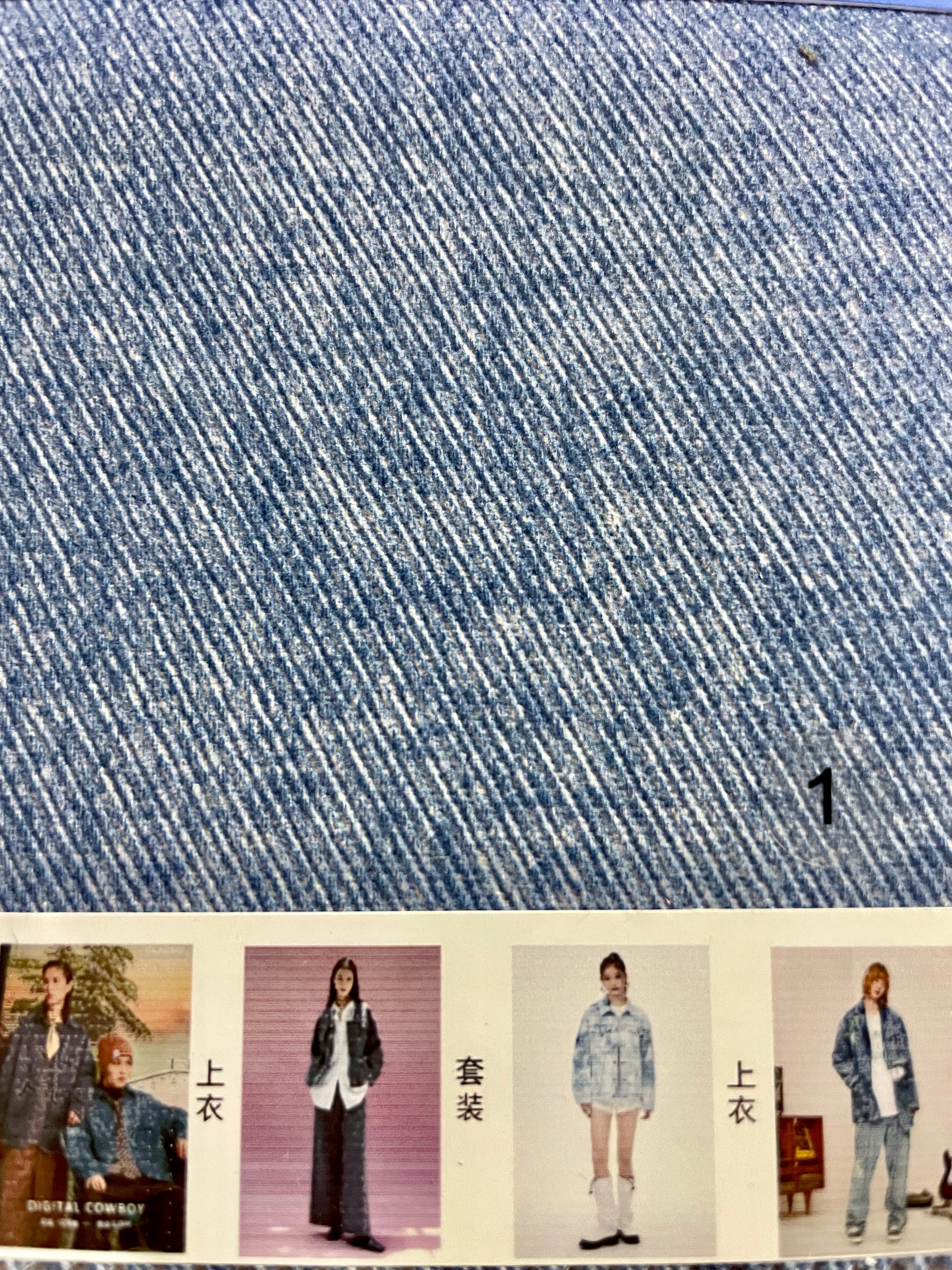 Digital Print  Denim Fabric - Natasha Fabric